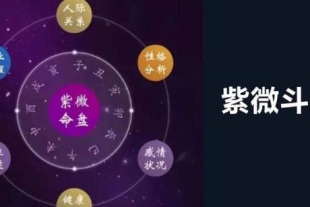 测测的紫薇斗数
