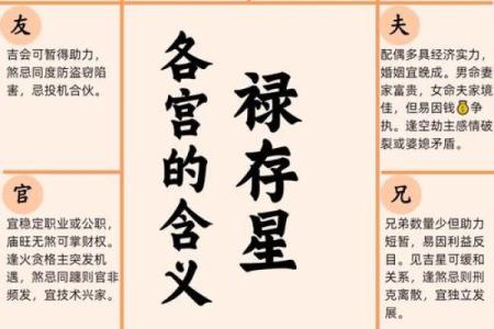 男女都怕入错行！紫薇斗数官禄宫看终身适合的职业