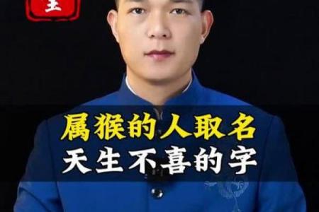 2月份出生的属猴男孩要怎样取名呢？姓名