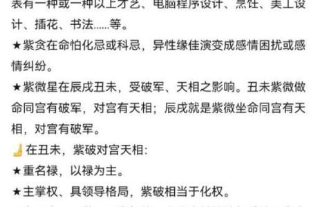 紫薇斗数中最准确的解释