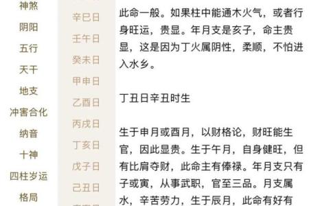 八字太阳