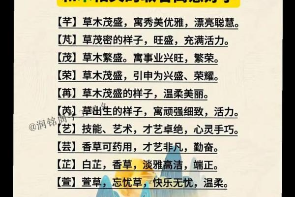 五行八字起名