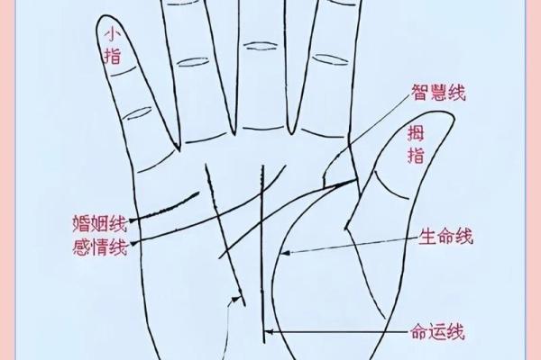女人右手掌纹图解算命婚姻线 咋看女人右手的婚姻线