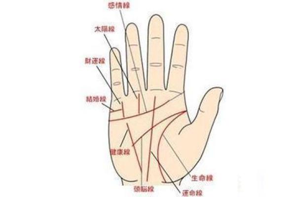 女人右手掌纹图解算命婚姻线 咋看女人右手的婚姻线