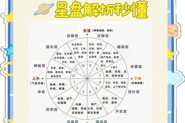 星座宫盘查询工具-详细解析你的生命盘