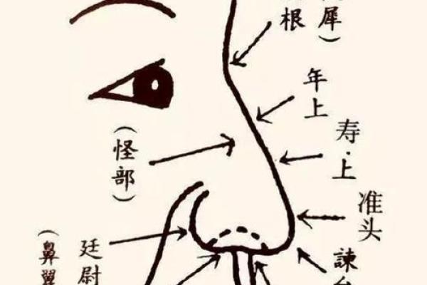 摸骨算命：详解三种额头骨形