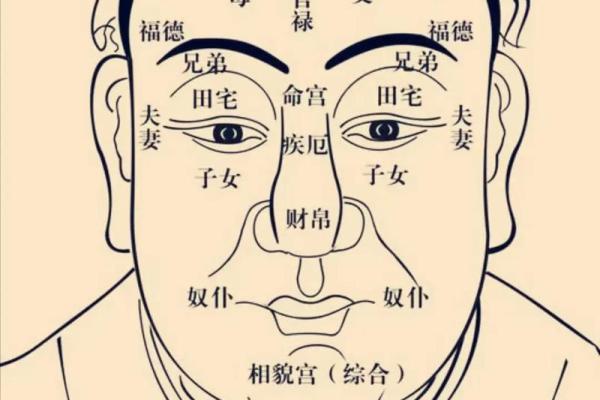 紫薇星盘八字算命
