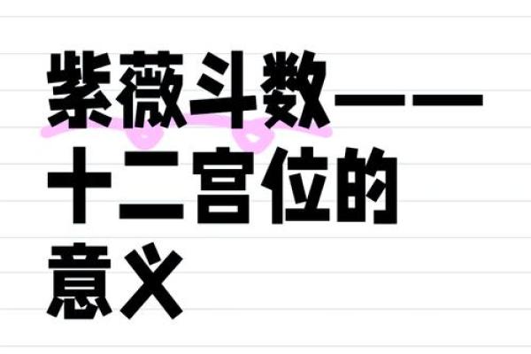 紫薇斗阿数