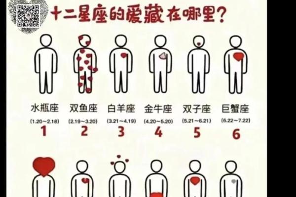 如何进行准确的星座测试