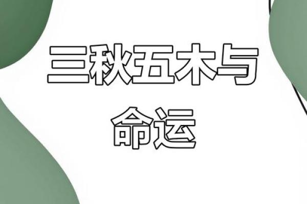 八字五木
