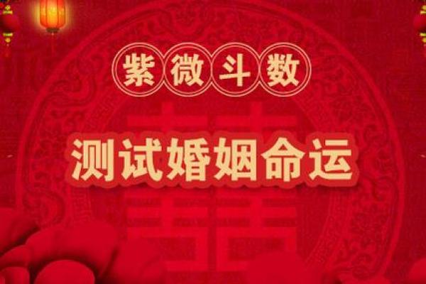 测紫薇斗数app