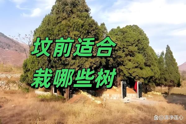 坟墓的风水为什么会遭到破坏