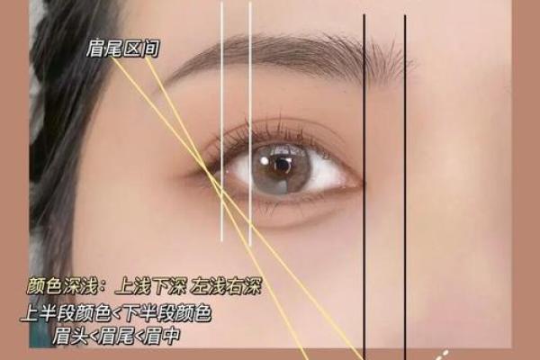 卧蚕眉面相算命图解