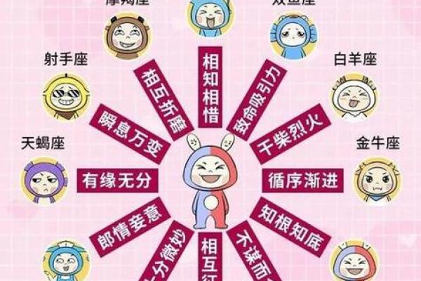 双子座男生偏爱什么星座女 虐死双子座的星座