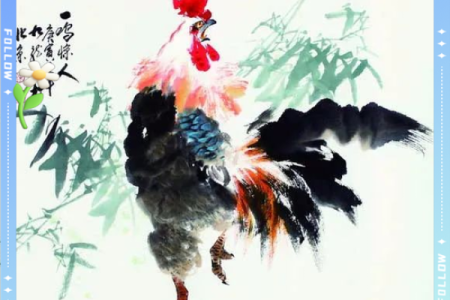 属鸡住宅风水