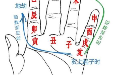 紫薇斗数子时怎么确定