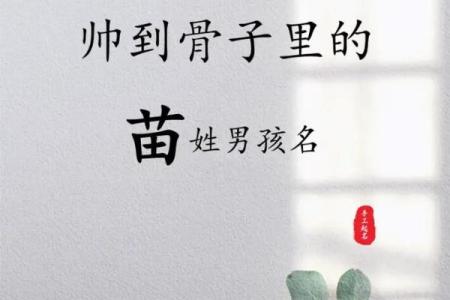 苗姓女孩名字大全-苗姓女孩起名字大全-苗姓名字大全姓名