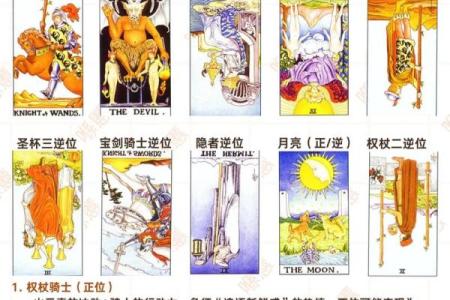 12星座塔罗牌怎么玩