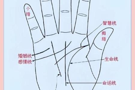 女人右手掌纹图解算命婚姻线 咋看女人右手的婚姻线