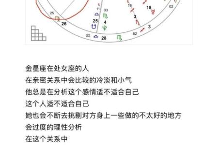 星座宫盘查询工具-详细解析你的生命盘