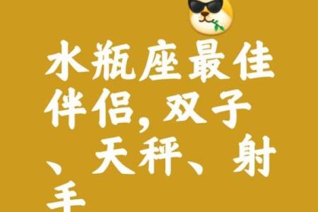 水瓶座跟双子星座配吗