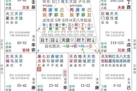 紫薇斗阿数