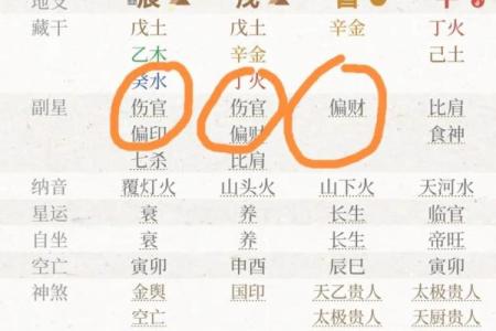 搜索八字偏财