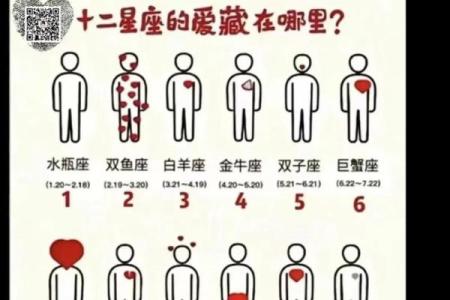如何进行准确的星座测试