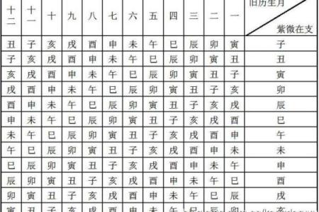 紫微斗数命宫身宫得分 紫微斗数命宫身宫查询表？