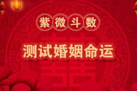 测紫薇斗数app