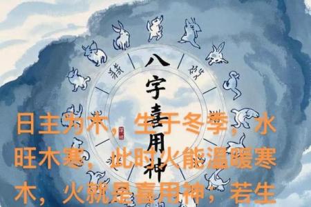 八字喜用神第56讲文江勇