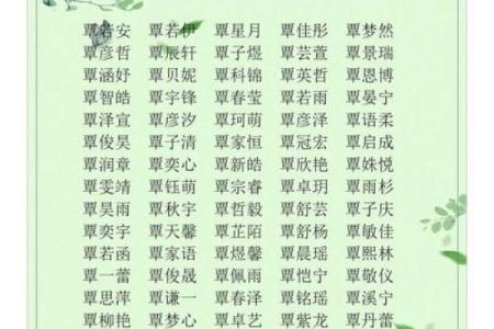 岑姓女孩名字大全-岑姓女孩起名字大全-岑姓名字大全姓名