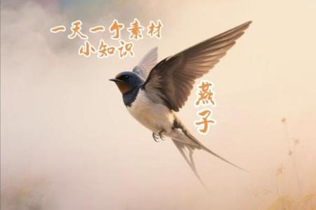 燕子科学风水