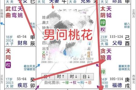 紫薇斗数看感情
