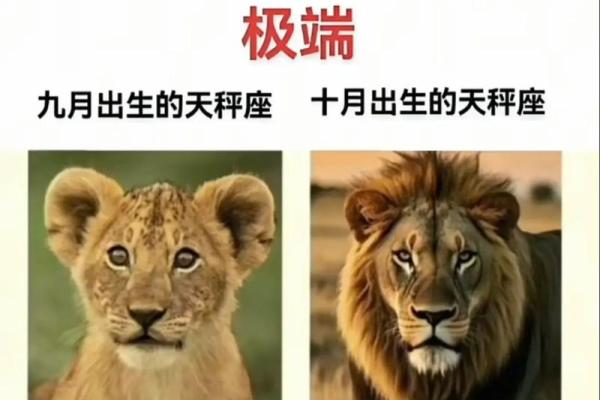 天秤座和什么星座不合 天秤座和十二星座匹配度