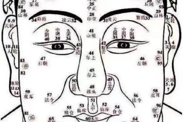 八字和手相