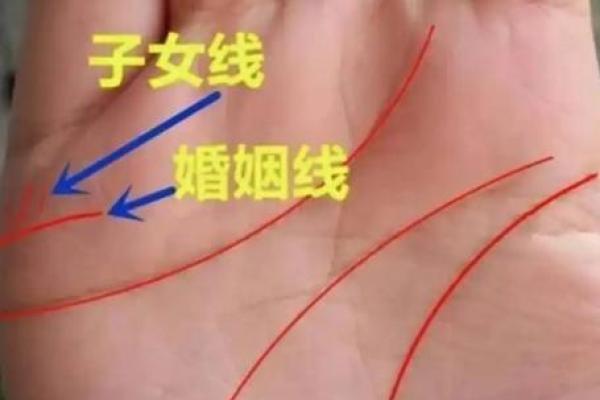 八字和手相