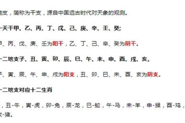 从零开始学八字（八）--十二地支（6）