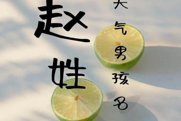 赵姓女孩名字大全-赵姓女孩起名字大全-赵姓名字大全姓名