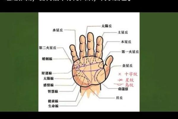 女生算命看左手吗