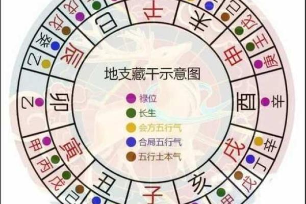 四柱八字基础知识，地支藏干的基本原理