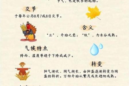 立秋八字