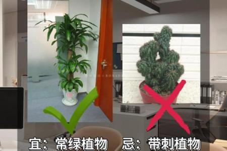 只需微调风水！即可修正办公室财运