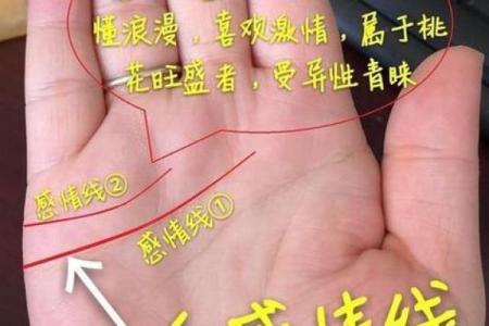 手线算命