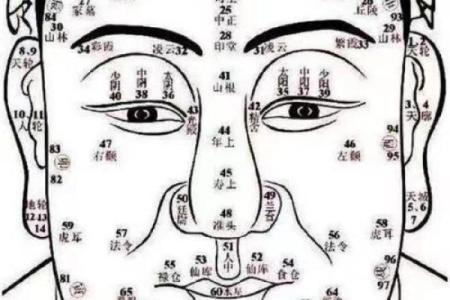 八字和手相