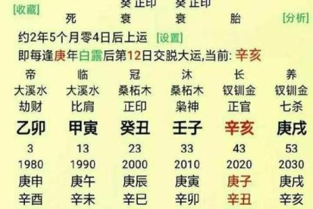 哪种命相八字的人适合学算命