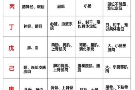 测生辰八字打分