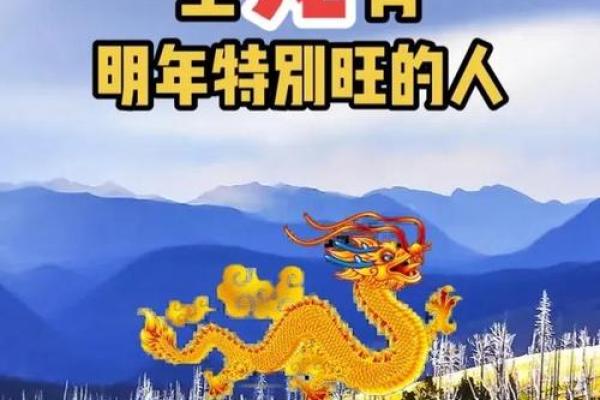 老公属马,老婆属龙,住几层的楼房风水更好？
