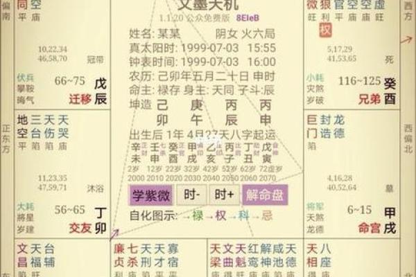 紫薇斗数排盘易安
