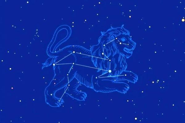 哪个星座最擅长追女孩？25个汉字限制，不使用特殊符号。